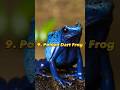 Top 10 Most Poisonous Animals In The World Venomous Animals