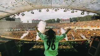 Steve Aoki - Live @ Tomorrowland Belgium 2016