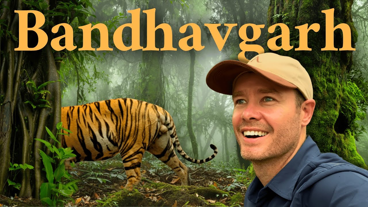 Inside One of India’s Best Tiger Reserves – What It’s Really Like