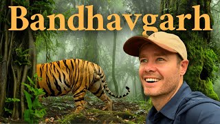 Inside One of India’s Best Tiger Reserves – What It’s Really Like MQDEFAULT Thumbnail