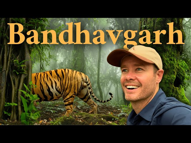 Inside One of India’s Best Tiger Reserves – What It’s Really Like SDDEFAULT Thumbnail