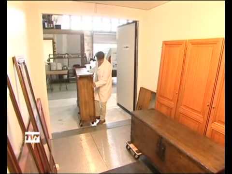 comment traiter lyctus