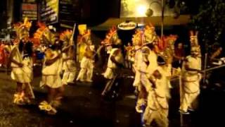preview picture of video 'Tigre de Bonsucesso Carnaval 2011'