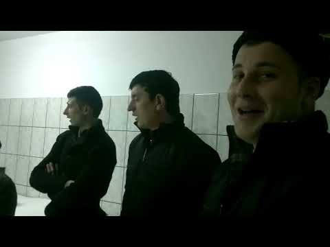 Borumlaca...de Craciun 2012