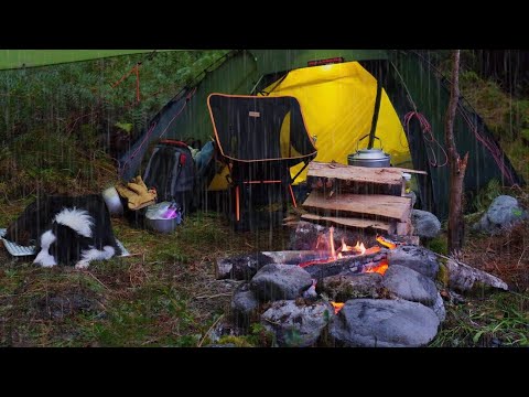 , title : 'CAMPING in the RAIN with TENT and BUSHCRAFT'