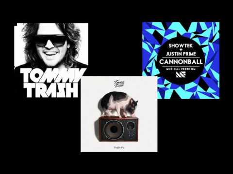 Tommy Trash vs Showtek & Justin Prime - Truffle Pig Cannonball (Sebastien Jordan Bootleg)