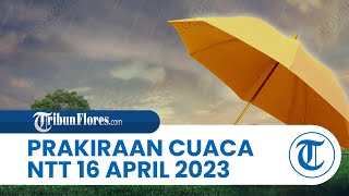 Prakiraan Cuaca Minggu16 April 2023, BMKG: Wilayah NTT Diprediksi Hujan Ringan hingga Lebat