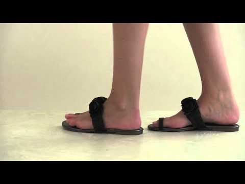 Footcandy Shoes Vince Camuto Mesty