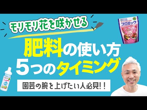 自家製の天然肥料: 植物に肥料を与えて栄養を与えるためにどのような注入液を調合すればよいでしょうか?  庭園