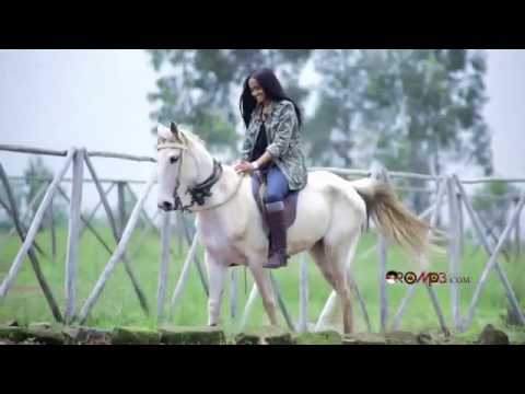 Hirphaa Gaanfuree   Madda Gammachuu New Oromo Music 2013