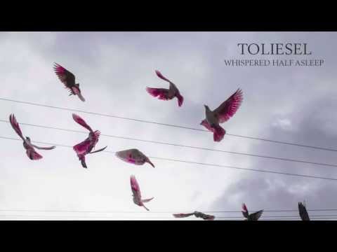Toliesel - Whispered Half Asleep