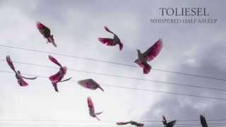 Toliesel - Whispered Half Asleep