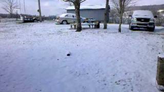 preview picture of video 'Snow in Crossville December 5, 2009'