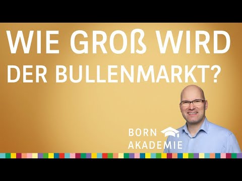 Live-Chart: Wie groß kann der Bullenmarkt werden? - BORN Akademie vom 17.08.2022
