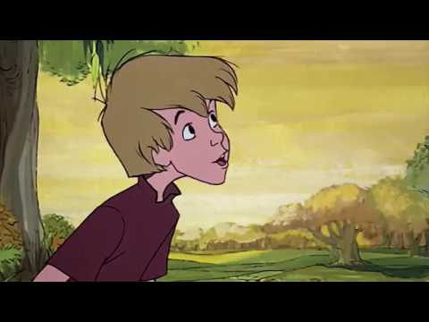 We're Back!: A Jungle Animal's Story part 4 - Meet Wart/Welcome to New York