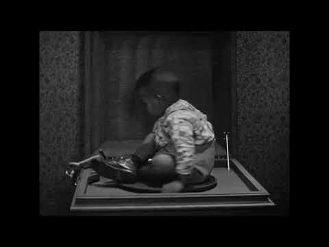 SYAR x Maiki - GUAPA