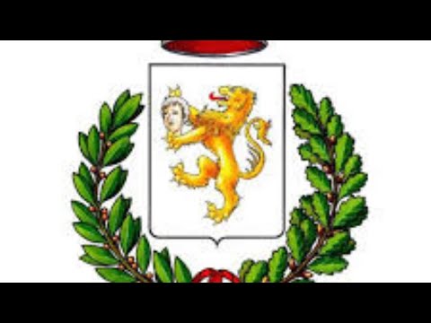 Consiglio Comunale del 29/12/2020