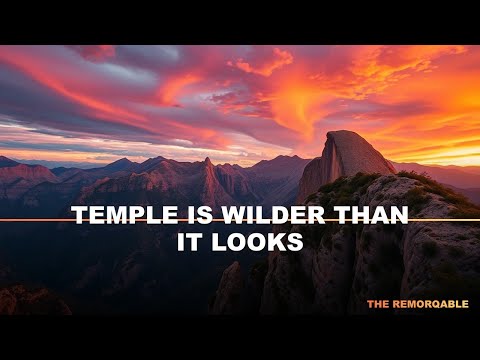 Siem Reap: Temple is wilder than it looks