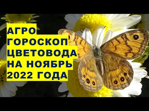 , title : 'Агрогороскоп цветовода на ноябрь 2022 года'