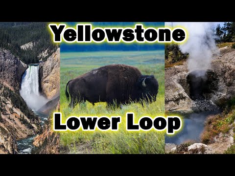 Driving the Lower Loop in Yellowstone National Park