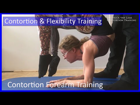 20 Flexyart Contortion: Forearm Stand and Zigzag Headsit - Also for Yoga, Pole, Ballet, Dance People