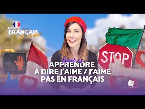 Apprendre à dire j'aime / j'aime pas en français