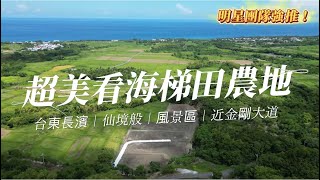 台東長濱｜仙境般｜超美看海梯田農地🧙‍♀️小魔女大力推薦0915-162-176