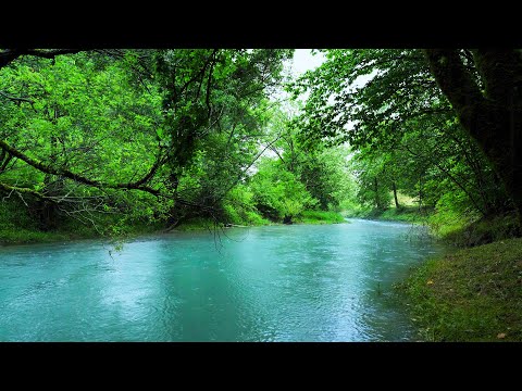Flute & Rain | Native American Healing Music for Subconscious Cleansing, Sleep & Inner Peace