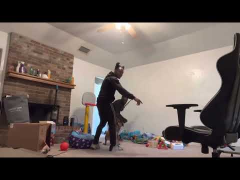 Optimal K9 Dog Obedience & Protection Training video.