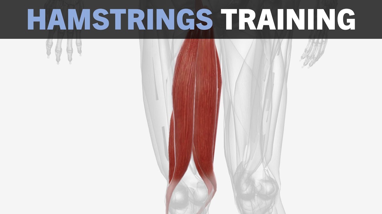 Hamstrings Hypertrophy Training Fundamentals