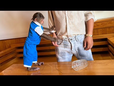 Try not to laugh???? Cutis wet his dad's pants to escape to play