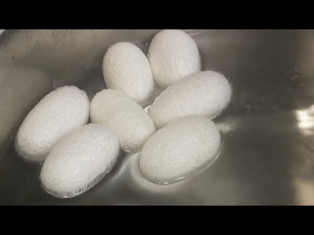 株式会社ファーマーズ・フォレスト（えにしトラベル）