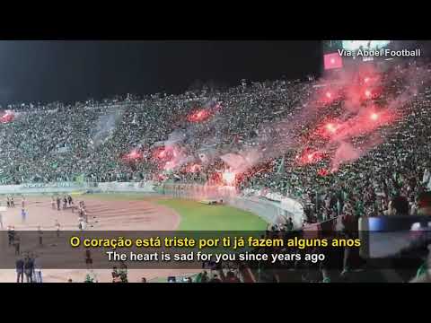 Song for Palestine - Mohammed V Stadium 🇲🇦 🇵🇸 فلسطين‎