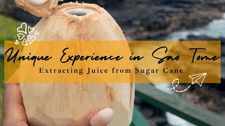 Extracting Sugar Cane Juice