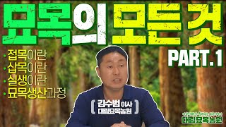 나무 묘목 재배와 생산 과정? 묘목의 모든 것을 하나씩 정리해 드립니다ㅣ[대림묘목농원_묘목 특강 part.1…