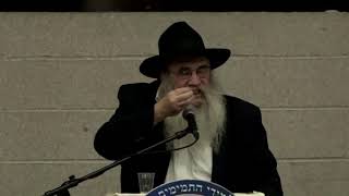 ליכותי סיחו פרש ושנון חלק 14 שיחא 1, חלק 2 - רבי משה וולברג, 5780