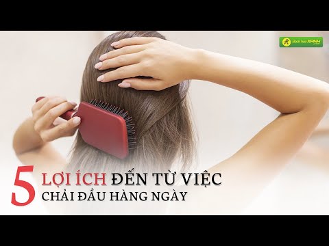 5 lợi ích đến từ việc chải đầu hàng ngày mà bạn chưa biết