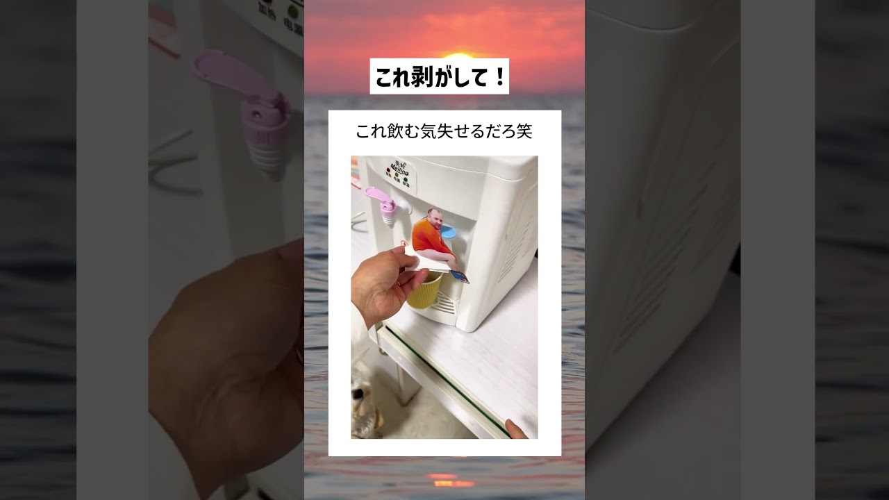 これ剥がせよ！ #おすすめ#おもしろ