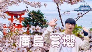 2024年不藏私 來去廣島看滿開櫻花 最新賞櫻實況（2024.4.1） -跟著醫師去旅行