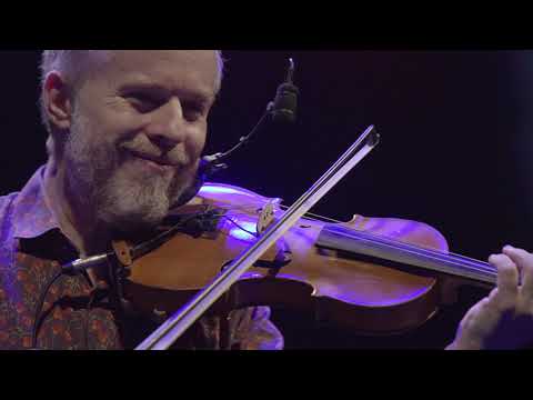 Nicolas Krassik | Evelise (Nicolas Krassik) | Instrumental Sesc Brasil