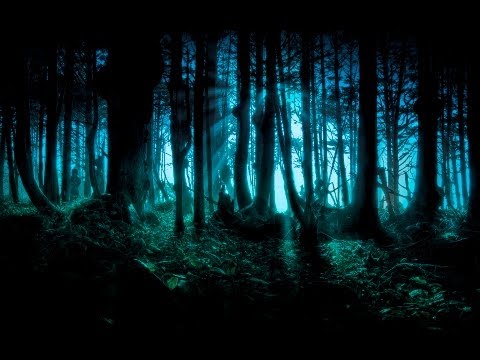 Dark Forest/Goa/Twilight/Progressive Psy Trance Mix - 2013 - ToPsy Turvey - EckoTek Soundsystem