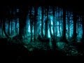 Dark Forest/Goa/Twilight/Progressive Psy Trance Mix - 2013 - ToPsy Turvey - EckoTek Soundsystem