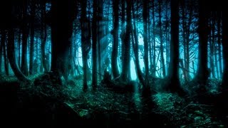 Dark Forest/Goa/Twilight/Progressive Psy Trance Mix - 2013 - ToPsy Turvey - EckoTek Soundsystem