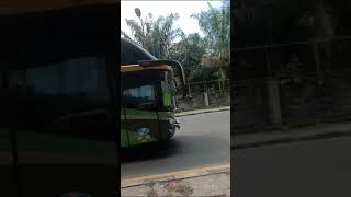 Download lagu ALS 271 AVANTE mp3