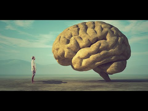 L'intelligence: au terme de nos ressources ? (documentaire sur le cerveau humain)