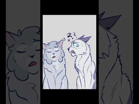 Время сближения кошек 😩 #воинкоты #воины #анимация #искусство
