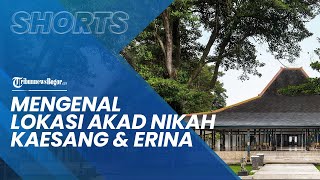 Mengenal Pendopo Agung Royal Ambarrukmo Yogyakarta, Lokasi Akad Nikah Erina dan Kaesang