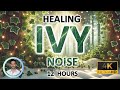 Healing Ivy Sleep Noise Physical Healing Pain Relief 12 Hours BLACK SCREEN