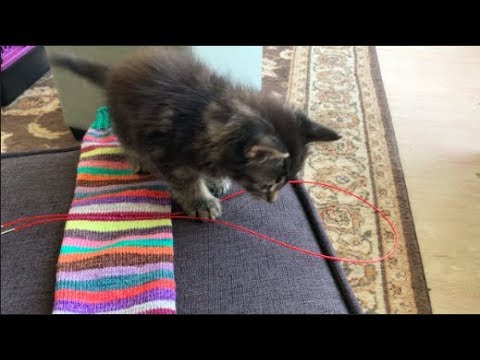 Cherry Purls Episode 82 - Helper Hagrid