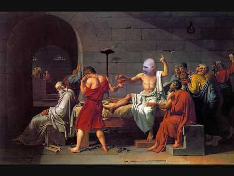 Hollywood Hank - Asokacke